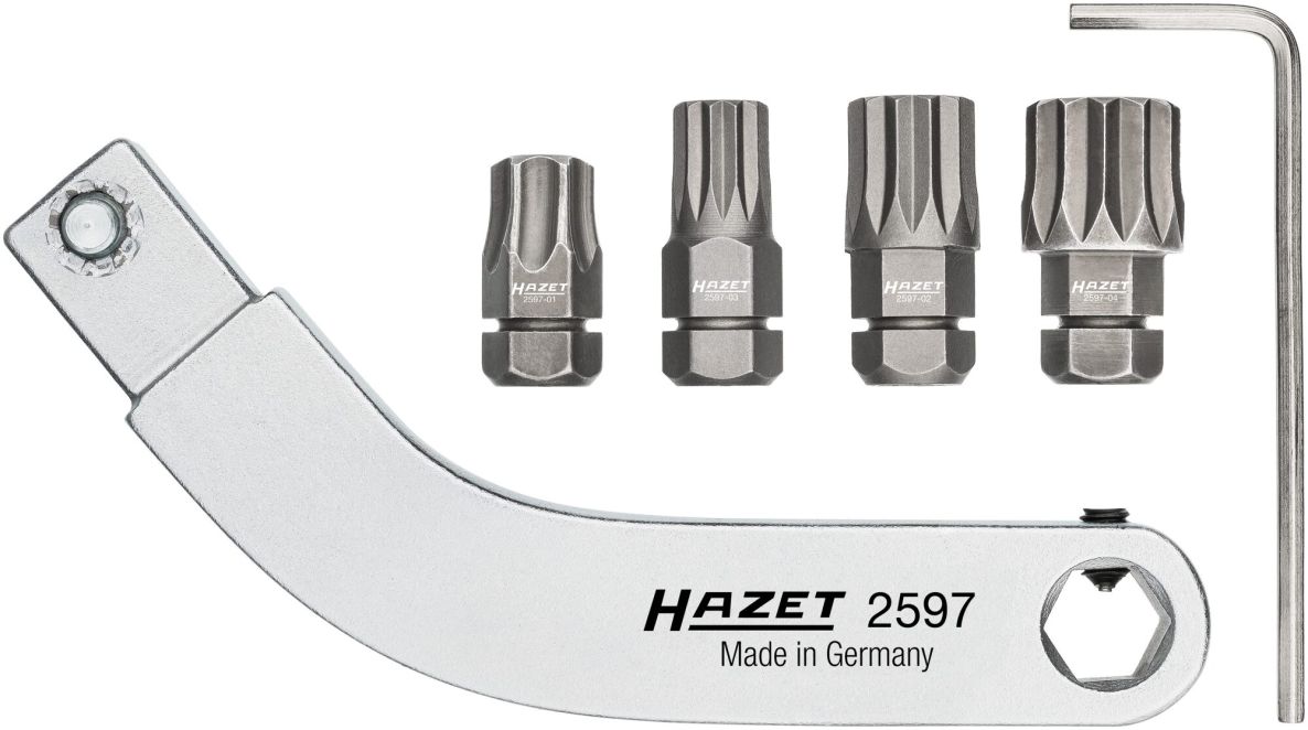 Hazet 2597-2/5 T&uuml;rscharnier-Steckwerkzeug, gebogener Bithalter-Satz 9 x 12 mm, 5-teilig